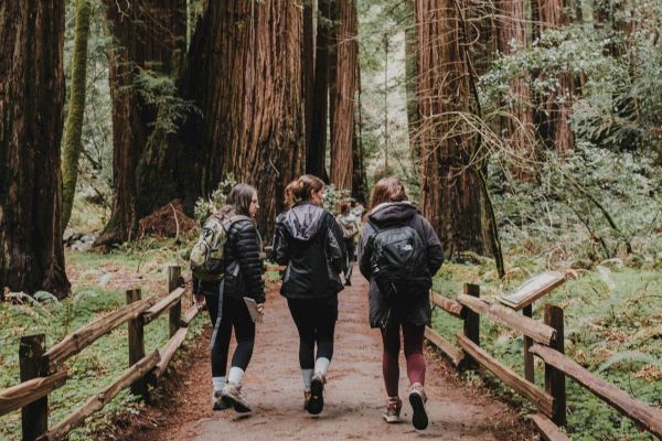 Three people walking on a path through a forested area with tall redwood trees, all dressed in hiking attire, and surrounded by lush greenery.