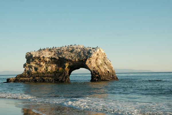 A large rock formation with an arch stands in the ocean, with birds perched on top, under a clear blue sky.