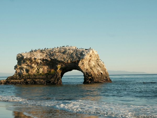 A large rock formation with an arch stands in the ocean, with birds perched on top, under a clear blue sky.