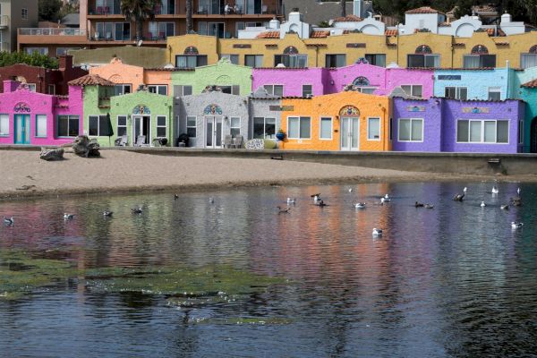 Colorful beachside buildings with pink, green, gray, purple, yellow facades, and birds on the shore and water in the foreground.