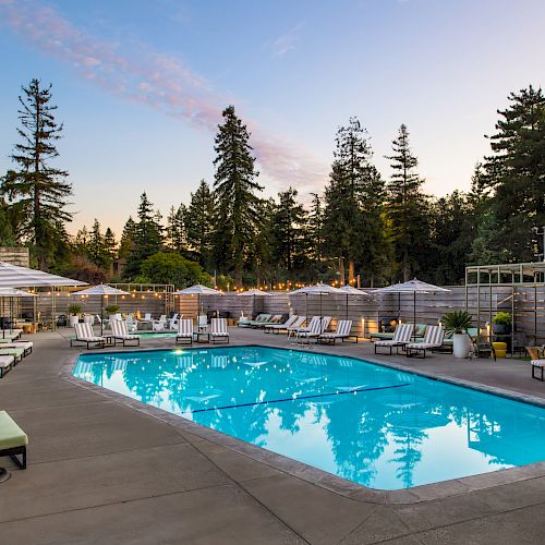 A serene outdoor swimming pool area surrounded by lounge chairs, umbrellas, and greenery, set against a backdrop of tall trees and a clear sky.