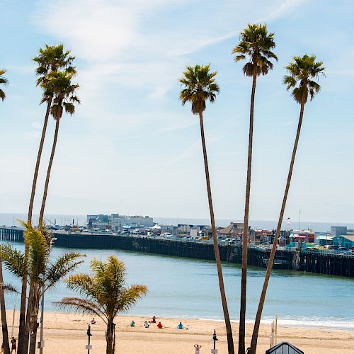 Beach scene with tall palm trees in the foreground, a sandy shore, people relaxing, calm ocean waters, and a pier with structures in the background.