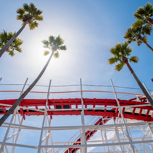 The image shows tall palm trees and a red and white roller coaster structure under a bright blue sky with the sun shining.