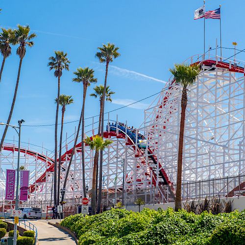 A roller coaster track winds around tall palm trees under a clear blue sky, with an American flag flying at the top structure.