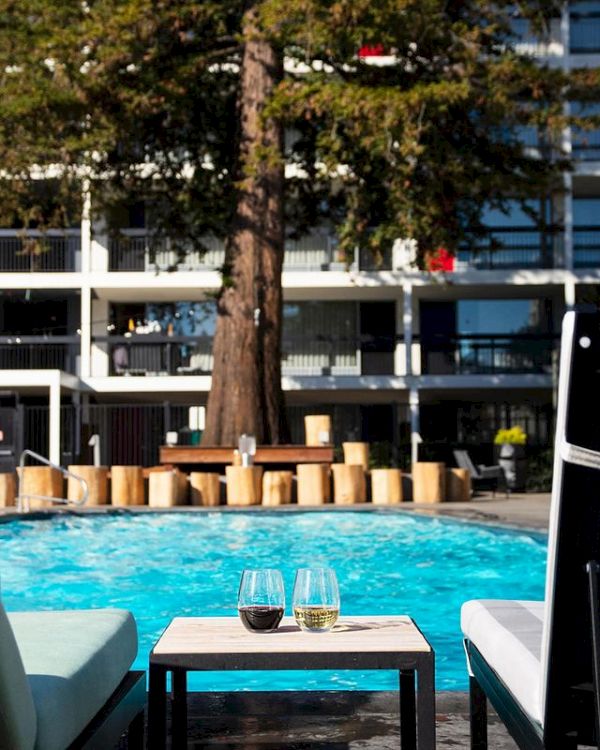 A poolside scene with a table holding two drinks, surrounded by lounge chairs, and a large tree in the background.