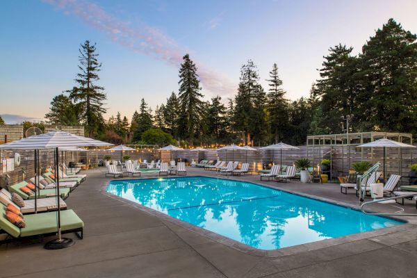 A serene pool area with lounge chairs and umbrellas, surrounded by tall trees and a fenced enclosure, set against a clear sky at dusk.