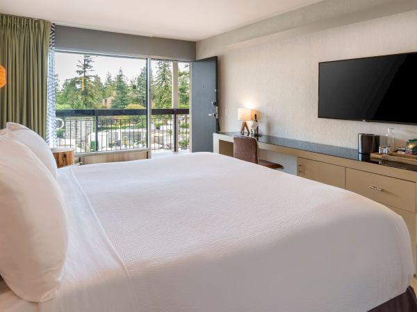 A bright hotel room with a large bed, bedside lamp, flat-screen TV, and a balcony view of trees.